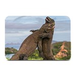 Komodo Dragons Fight Plate Mats 18 x12  Plate Mat