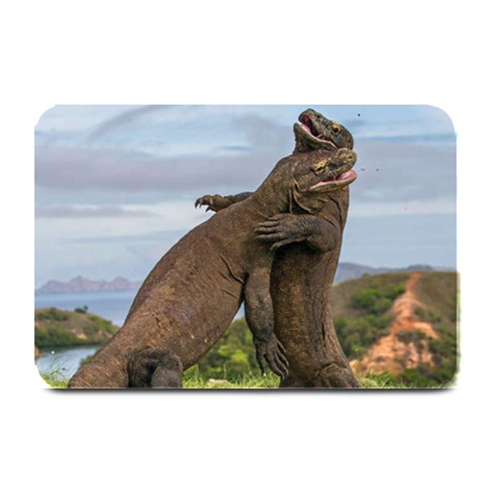 Komodo Dragons Fight Plate Mats