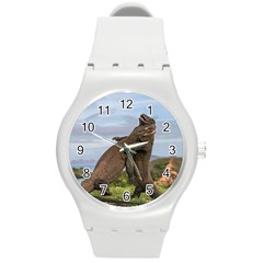 Komodo Dragons Fight Round Plastic Sport Watch (m) by Nexatart