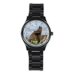 Komodo Dragons Fight Stainless Steel Round Watch by Nexatart