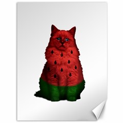 Watermelon Cat Canvas 36  X 48   by Valentinaart