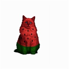 Watermelon Cat Large Garden Flag (two Sides) by Valentinaart