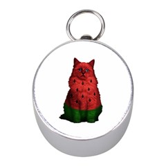 Watermelon Cat Mini Silver Compasses by Valentinaart