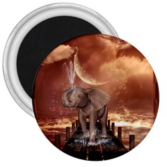 Cute Baby Elephant On A Jetty 3  Magnets by FantasyWorld7