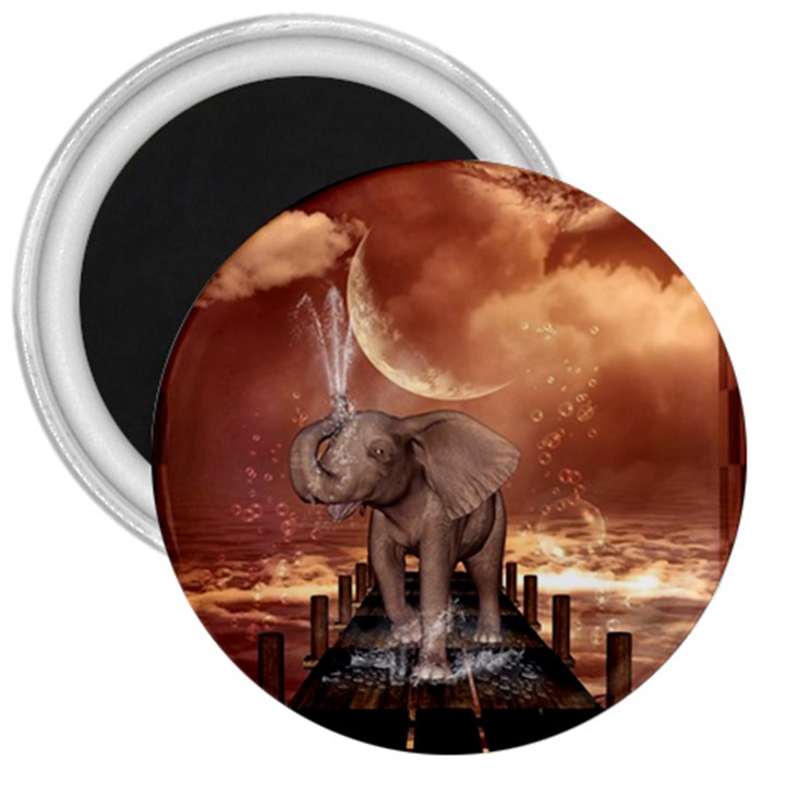 Cute Baby Elephant On A Jetty 3  Magnets