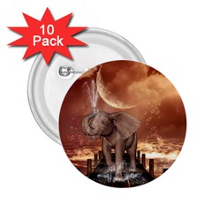 Cute Baby Elephant On A Jetty 2 25  Buttons (10 Pack)  by FantasyWorld7