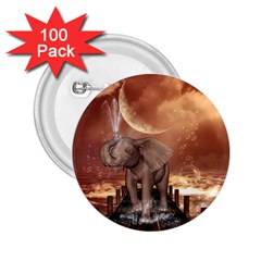 Cute Baby Elephant On A Jetty 2 25  Buttons (100 Pack)  by FantasyWorld7