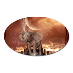 Cute Baby Elephant On A Jetty Oval Magnet by FantasyWorld7