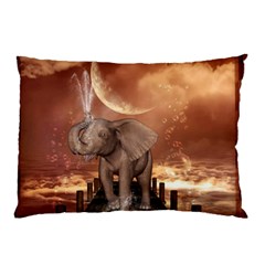 Cute Baby Elephant On A Jetty Pillow Case by FantasyWorld7