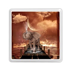 Cute Baby Elephant On A Jetty Memory Card Reader (square)  by FantasyWorld7