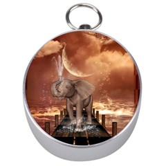 Cute Baby Elephant On A Jetty Silver Compasses by FantasyWorld7