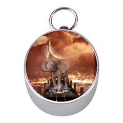 Cute Baby Elephant On A Jetty Mini Silver Compasses by FantasyWorld7