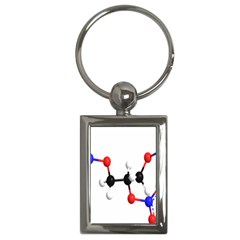 Nitroglycerin Lines Dna Key Chains (rectangle) 