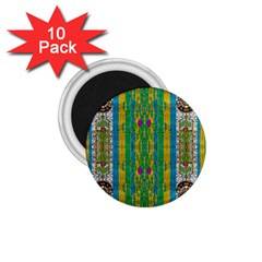 Rainbows Rain In The Golden Mangrove Forest 1 75  Magnets (10 Pack)  by pepitasart