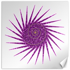 Spiral Purple Star Polka Canvas 16  X 16   by Mariart