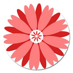 Sunflower Flower Floral Red Magnet 5  (round)