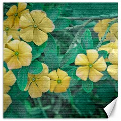 Yellow Flowers At Nature Canvas 16  X 16   by dflcprints