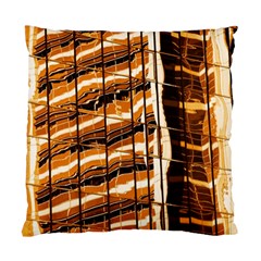 Abstract Architecture Background Standard Cushion Case (two Sides) by Nexatart