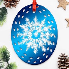 Background Christmas Star Oval Filigree Ornament (two Sides)