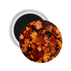 Fall Foliage Autumn Leaves October 2 25  Magnets by Nexatart