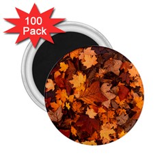 Fall Foliage Autumn Leaves October 2 25  Magnets (100 Pack)  by Nexatart