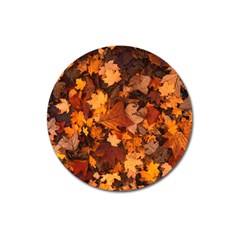 Fall Foliage Autumn Leaves October Magnet 3  (round) by Nexatart