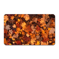 Fall Foliage Autumn Leaves October Magnet (rectangular) by Nexatart