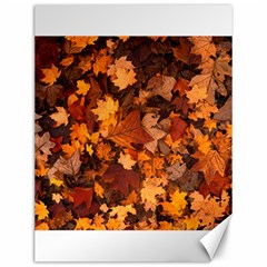 Fall Foliage Autumn Leaves October Canvas 12  X 16   by Nexatart