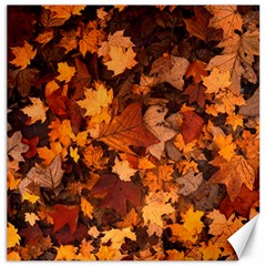 Fall Foliage Autumn Leaves October Canvas 16  X 16   by Nexatart