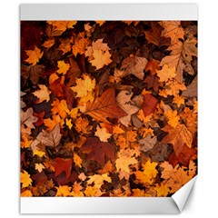 Fall Foliage Autumn Leaves October Canvas 20  X 24   by Nexatart