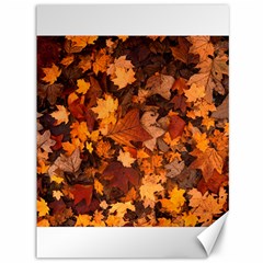 Fall Foliage Autumn Leaves October Canvas 36  X 48   by Nexatart