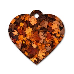 Fall Foliage Autumn Leaves October Dog Tag Heart (two Sides) by Nexatart