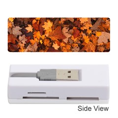 Fall Foliage Autumn Leaves October Memory Card Reader (stick)  by Nexatart