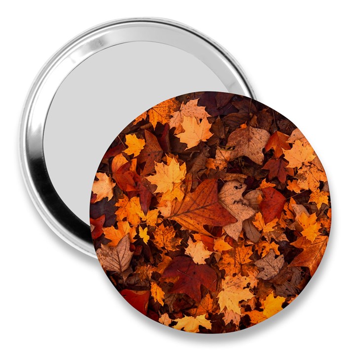 Fall Foliage Autumn Leaves October 3  Handbag Mirrors