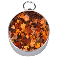 Fall Foliage Autumn Leaves October Silver Compasses by Nexatart