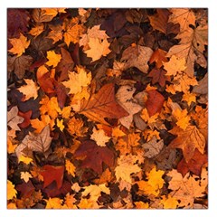 Fall Foliage Autumn Leaves October Large Satin Scarf (square) by Nexatart