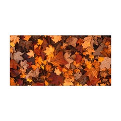 Fall Foliage Autumn Leaves October Yoga Headband by Nexatart