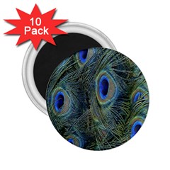 Peacock Feathers Blue Bird Nature 2 25  Magnets (10 Pack)  by Nexatart