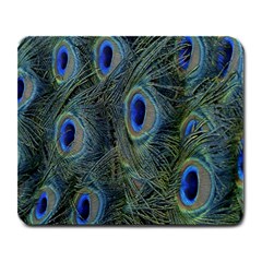 Peacock Feathers Blue Bird Nature Large Mousepads by Nexatart