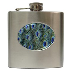 Peacock Feathers Blue Bird Nature Hip Flask (6 Oz) by Nexatart