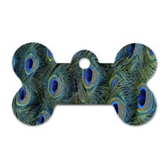 Peacock Feathers Blue Bird Nature Dog Tag Bone (one Side) by Nexatart