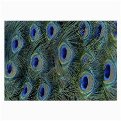 Peacock Feathers Blue Bird Nature Large Glasses Cloth by Nexatart