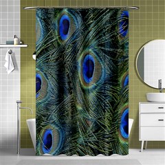 Peacock Feathers Blue Bird Nature Shower Curtain 48  X 72  (small)  by Nexatart