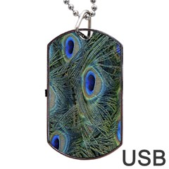 Peacock Feathers Blue Bird Nature Dog Tag Usb Flash (one Side) by Nexatart