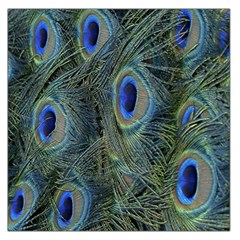 Peacock Feathers Blue Bird Nature Large Satin Scarf (square) by Nexatart