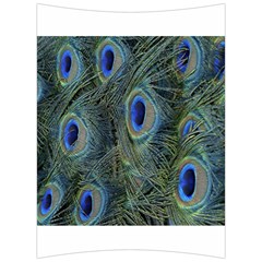 Peacock Feathers Blue Bird Nature Back Support Cushion