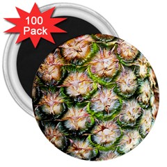 Pineapple Texture Macro Pattern 3  Magnets (100 Pack) by Nexatart