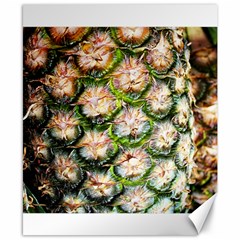 Pineapple Texture Macro Pattern Canvas 8  X 10  by Nexatart