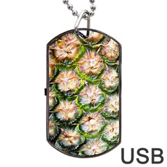 Pineapple Texture Macro Pattern Dog Tag Usb Flash (one Side) by Nexatart