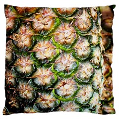 Pineapple Texture Macro Pattern Standard Flano Cushion Case (one Side) by Nexatart